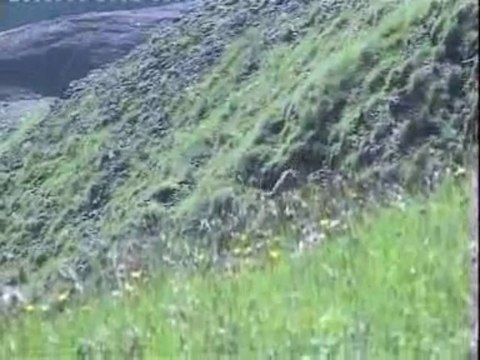 Le faune des Bauges - PNR du Massif des Bauges - 2009