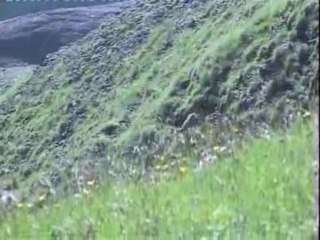 Le faune des Bauges - PNR du Massif des Bauges - 2009