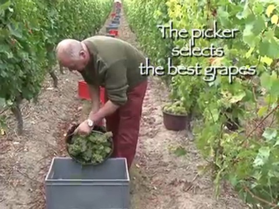 LES COULISSES DU VIN
