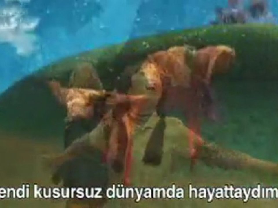 cennetimden bakarken