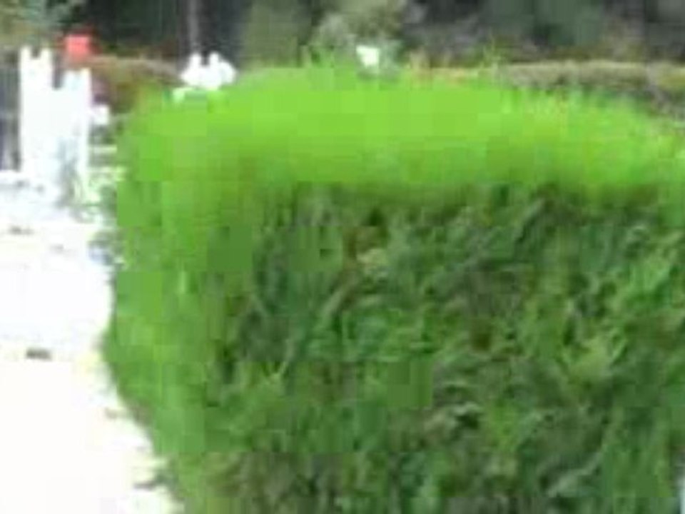 Kippling Chevillon E2P