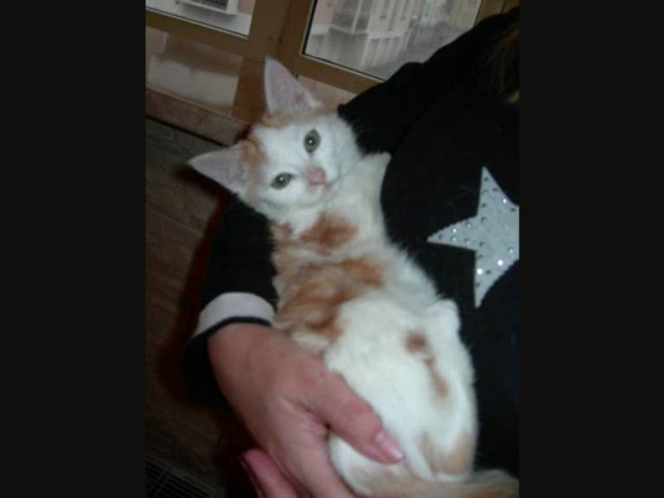 Hommage au bébé Shinji / Matéo