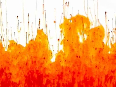 cat sleeping on the piano / Tilman Hatje, Lukas Thiele