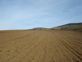 john deere 6210 - Tümosan 90.80 buğday ekimi