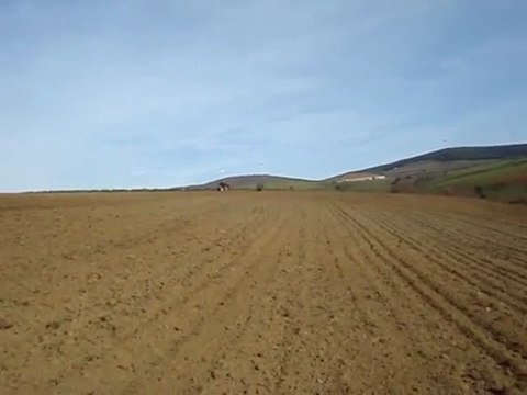 john deere 6210 - Tümosan 90.80 buğday ekimi