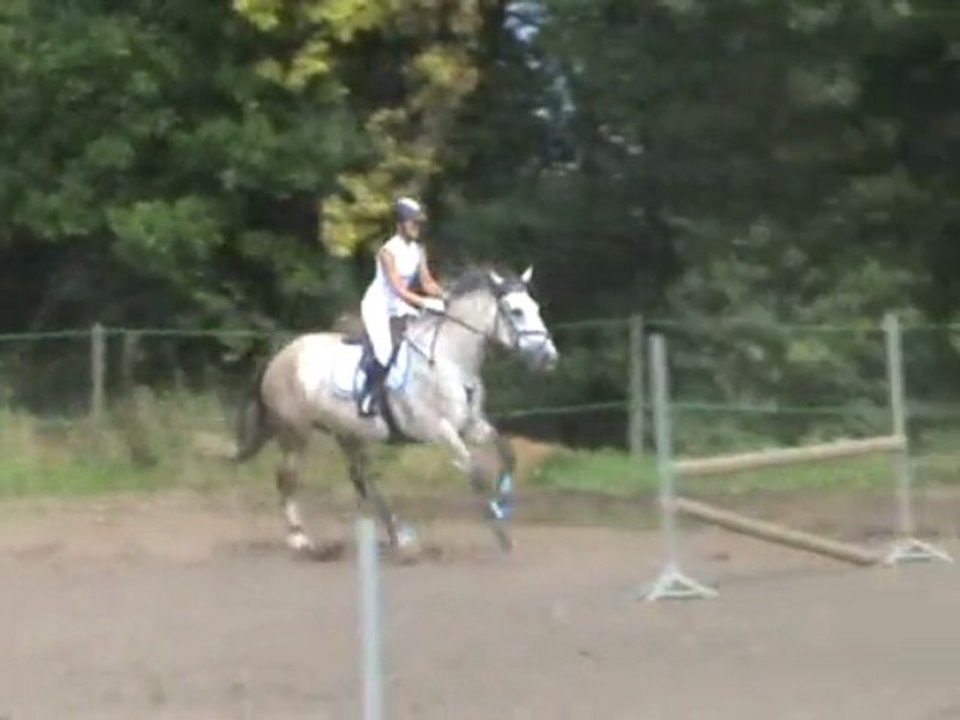 justine obstacle
