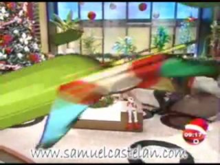 Encendido del árbol de Navidad