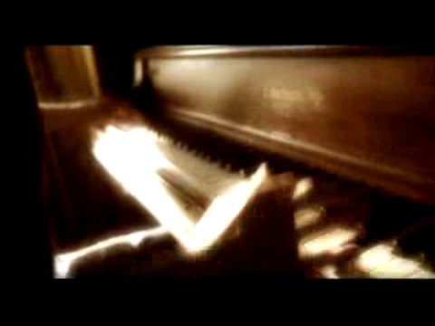 19 DIREITO À LIBERDADE DE EXPRESSÃO