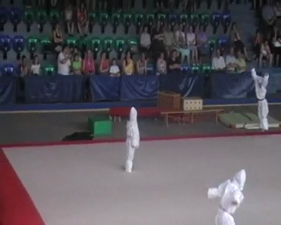 gala gymnastique 2009