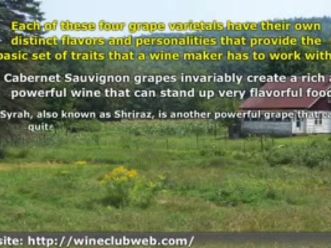 Types of Red Wine - Wine Basics Part 1