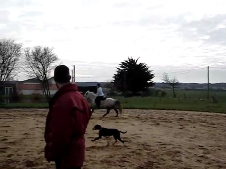 Khéops et Dadap à l'obstacle en janvier 2007