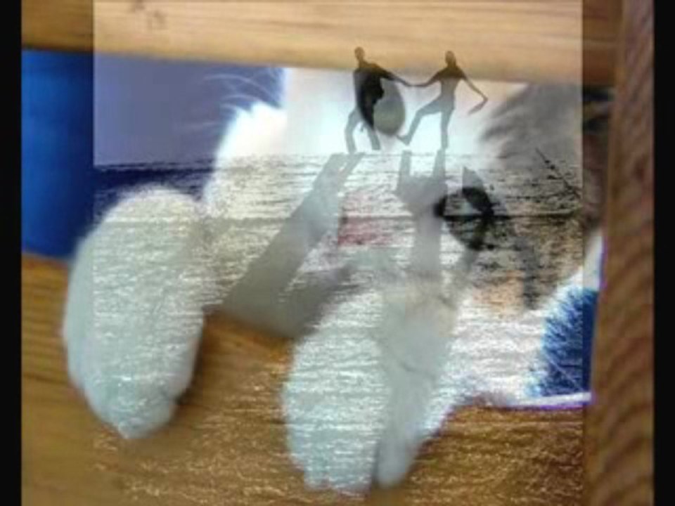 Erkin Koray - Seni Her Gördüğümde