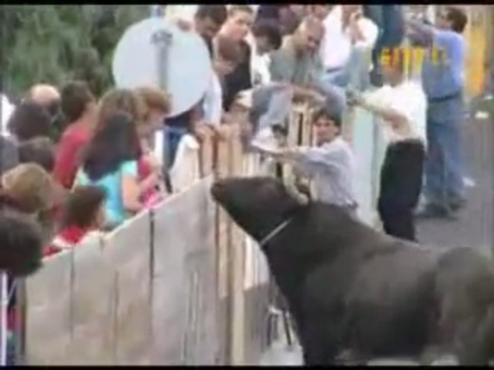 tourada1[1]