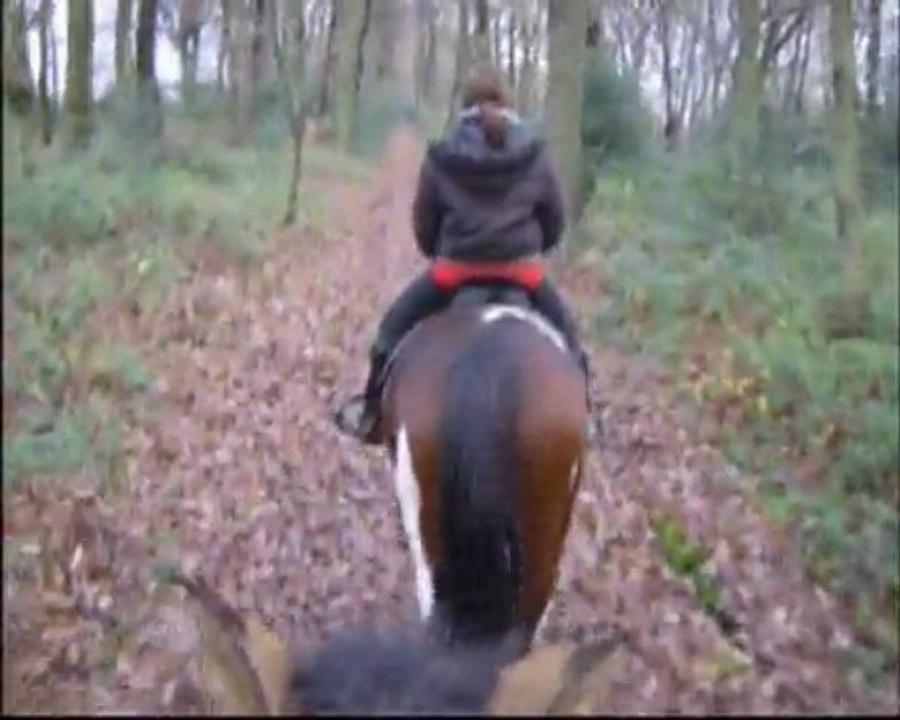 decembre02 2009 laura sur sultane en balade