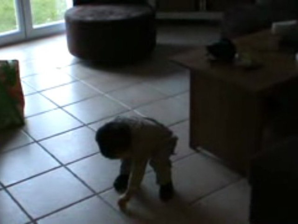 Artus marche à 12 mois et demi!