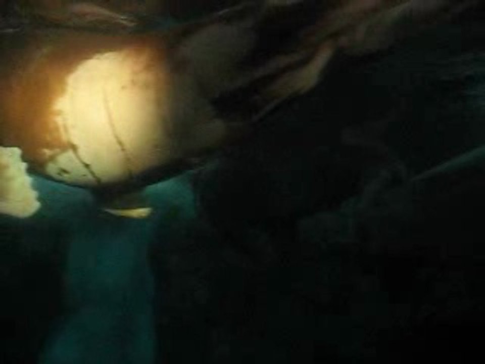 Ocean Florida - Miami Florida Holidays