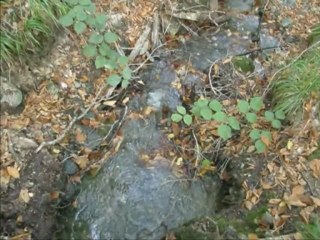 Nesrin Sipahi-Yâr Saçları Lüle Lüle