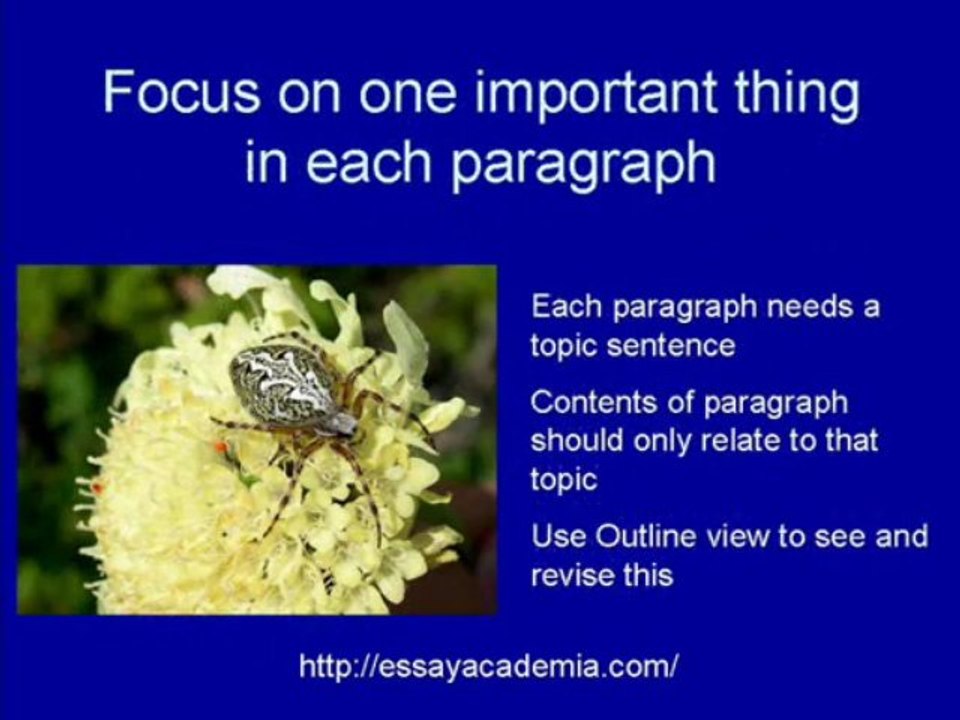 Tips for organizing and writing your thesis