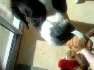 charly qui joue avec son nounours