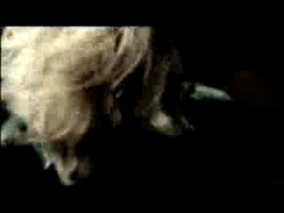 激しさと、この胸の中で絡み付いた灼熱の闇 「long preview」