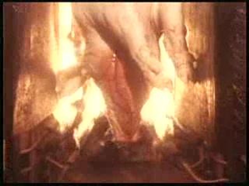 Les garçons boucher carnivore