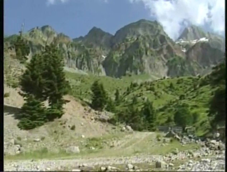 TZOUMERKA