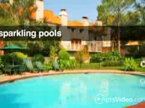 Sunblossom at Woodlake Apartments in Houston, TX