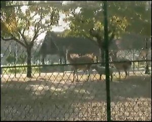 CHARACTER SOUL EN VADROUILLE video 1