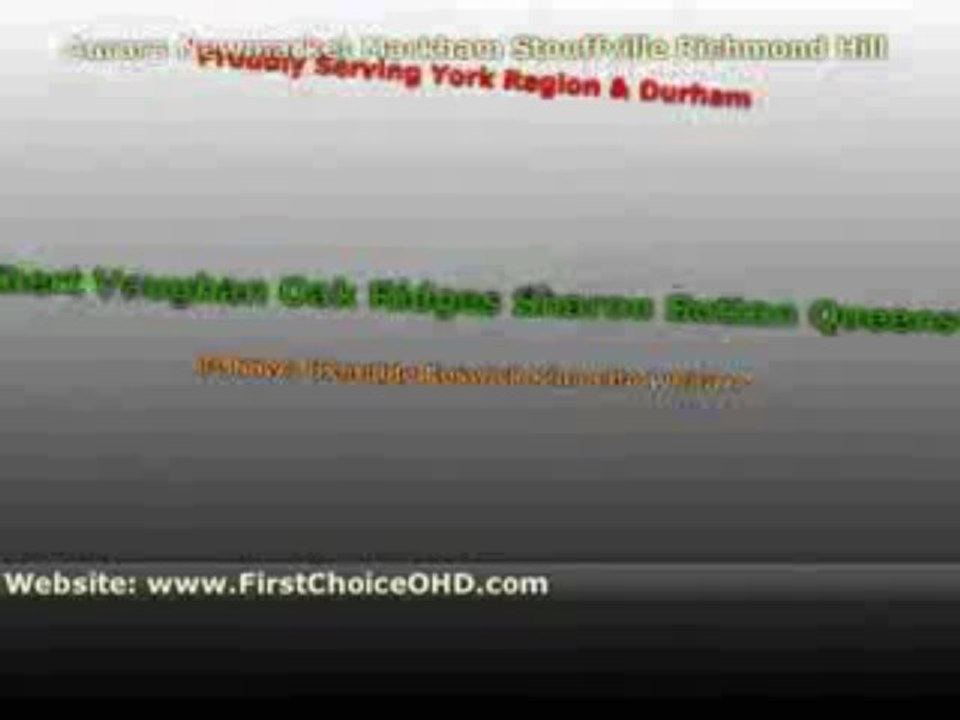 (Liftmaster Garage Door Opener)*(905)252-3004 RICHMOND HILL*