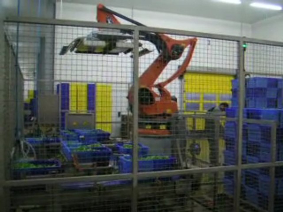 Convoyeurs, laveuse de caisse et robot KUKA palettiseur