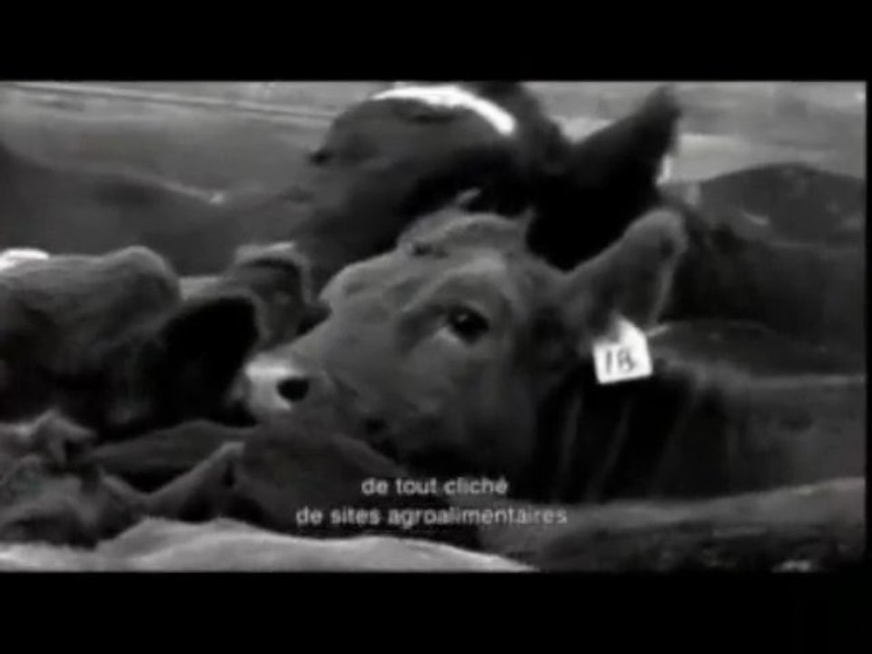 Food, Inc.