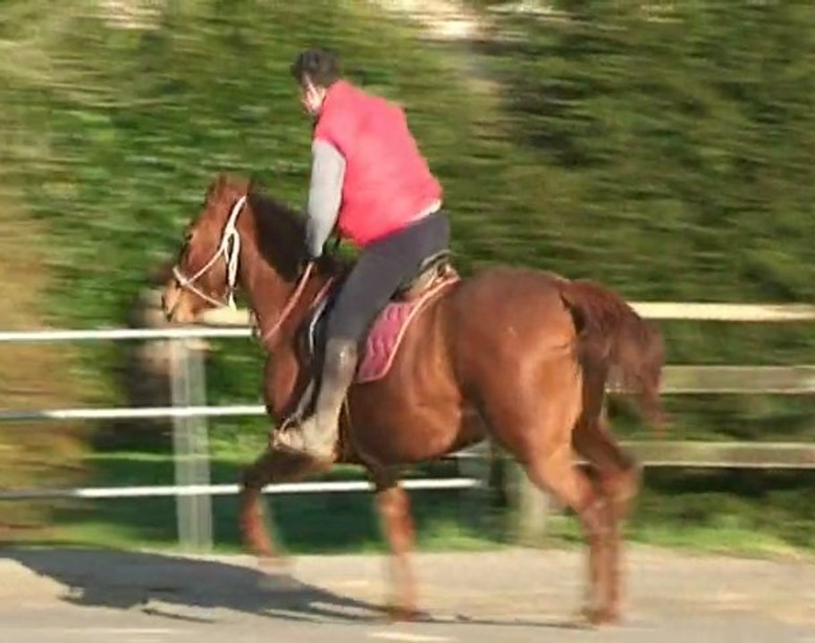 Quanelle d'Aubrac