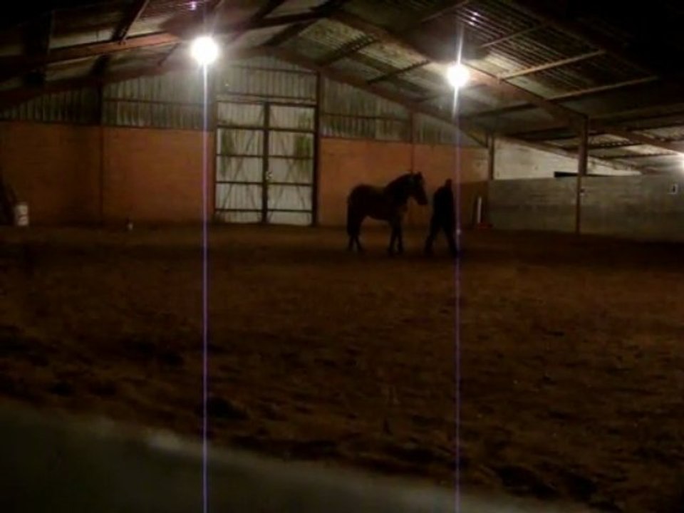 20 novembre 2009 : Travail en liberté