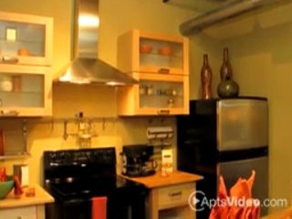 Metropolitan Loft Apartments in Jacksonville, FL-ForRent.com