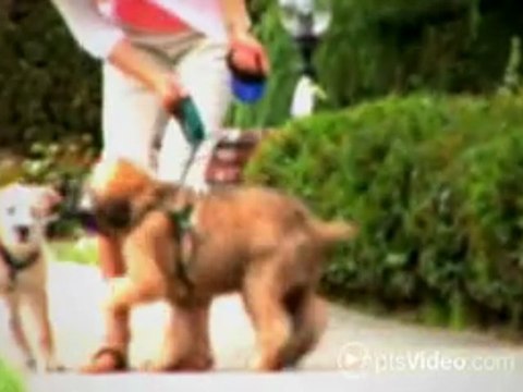 Alta Gardens Apartments in Houston, TX-ForRent.com