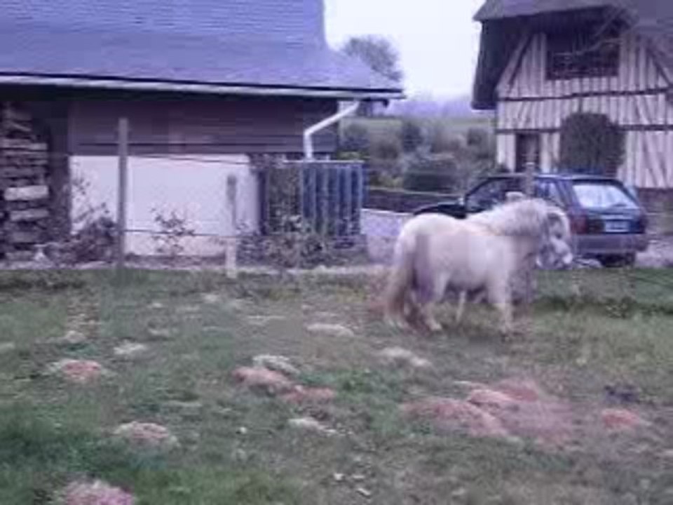 roméo hiver dernier