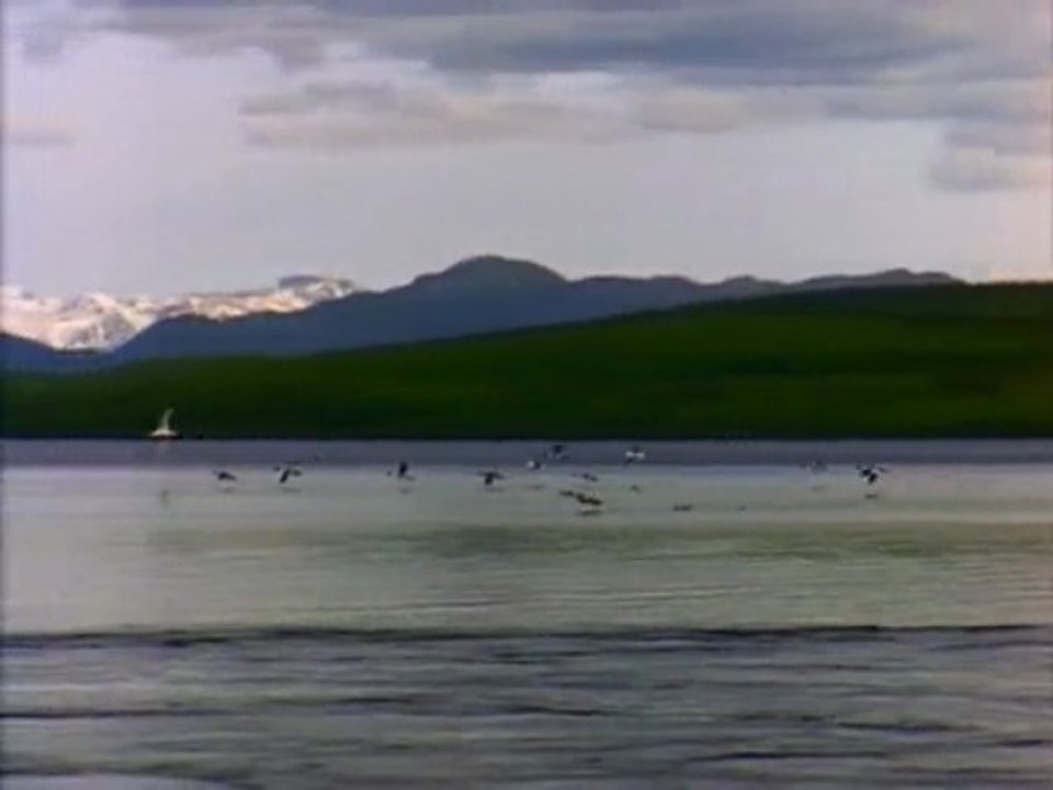 lake view