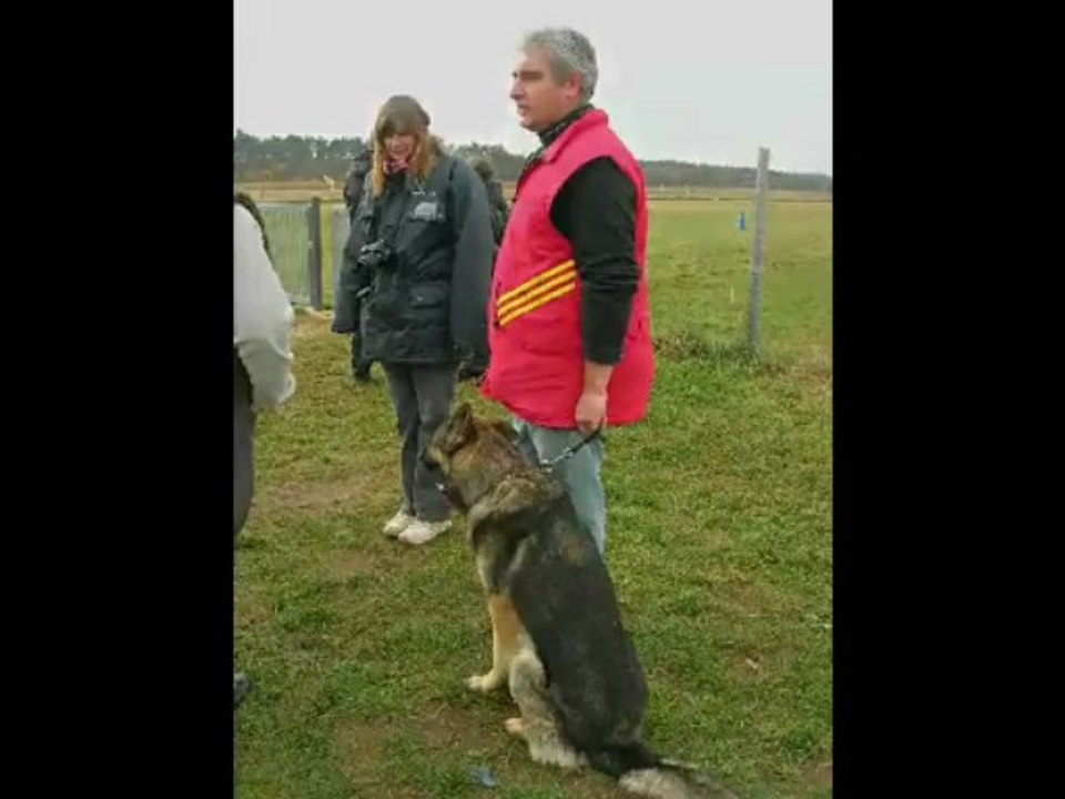 Canto concours schirrheim 14/11/2009