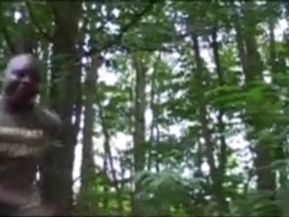 Rapeur D'1stinct - Guerilla (feat. Lil'Twent)