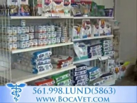 Lund Hospital. Boca Vet, Veterinarian Boca Raton, FL, 33487