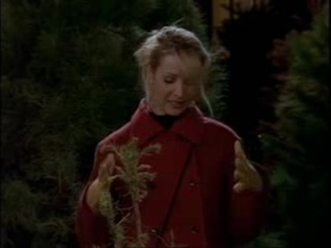 Friends - fr - S 03 - Ep 10- Les vieux sapins ont des droits