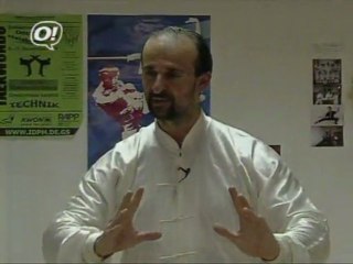 nikolas wushu qigong