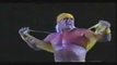 Hulk Hogan v. Keiji Mutoh