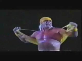 Hulk Hogan v. Keiji Mutoh
