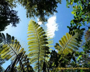 Voyage en Nouvelle Zélande