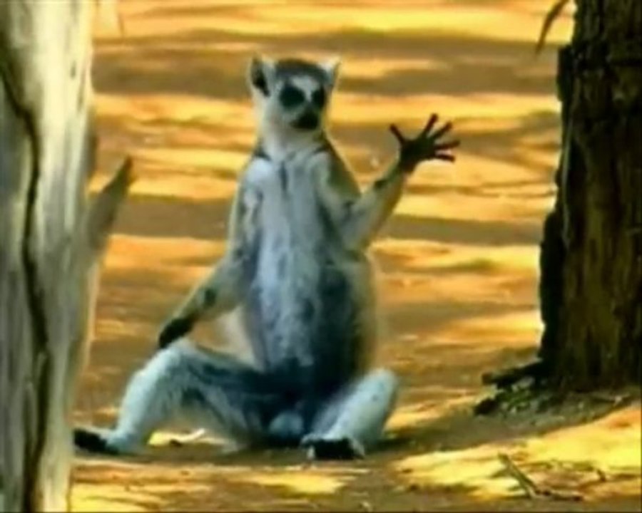 Tous vers l'évolution