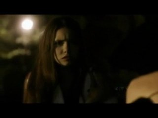 vampire diaries brothers