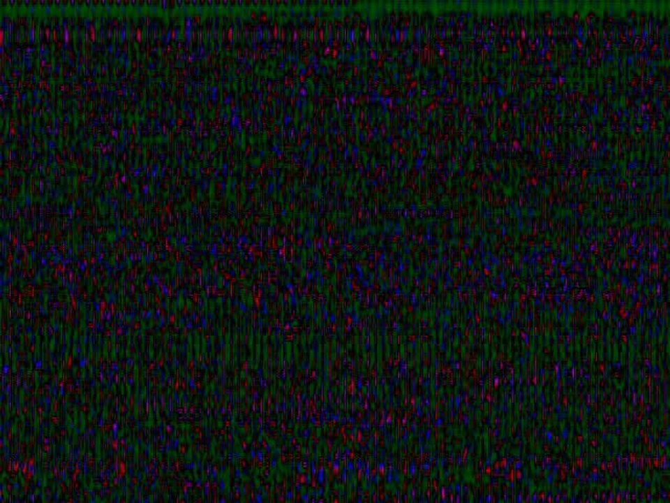 Cape Town - South Africa, London - United Kingdom, Pine Valley - Beijing - China, New York - USA, Mactan Island, Cebu - Philippines, Los Angeles - USA, Johannesburg - South Africa