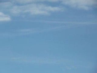 Donald K Hill Animal Poisoner From Cut and Shoot Texas