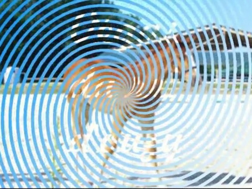 Poulains de l'élevage du rei d'ouzy.